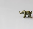 Tendencia Elephant