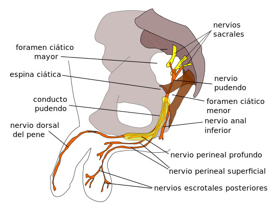 Sin título-1