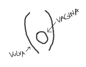 dibujo vulva