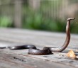 11 maneras de hacer una cobra