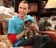 Follodrama: el loco de los gatos