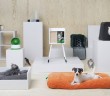 ¡Notición! Ikea lanza colección para mascotas