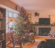 Encuentra tu árbol de navidad sin perder la dignidad