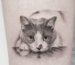Tatuajes de gatitos que te encantarán