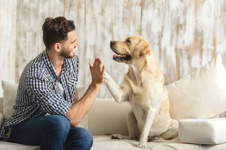 Es criador de perros - Debate WeLoverSize.com