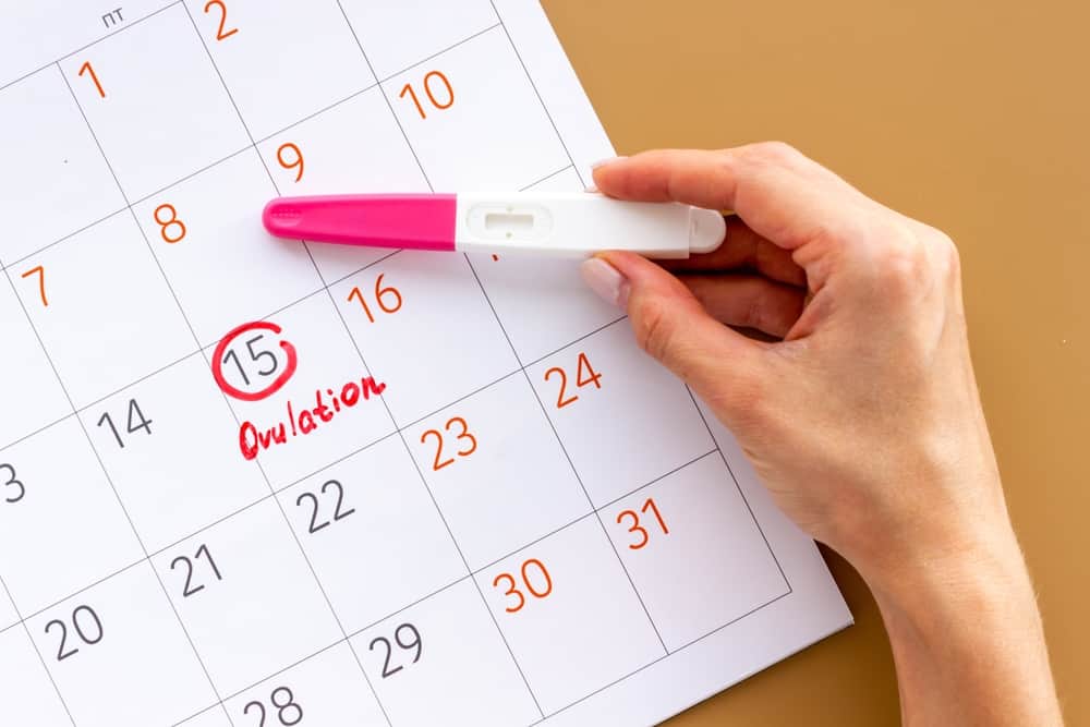 Sí o no a los test de ovulación