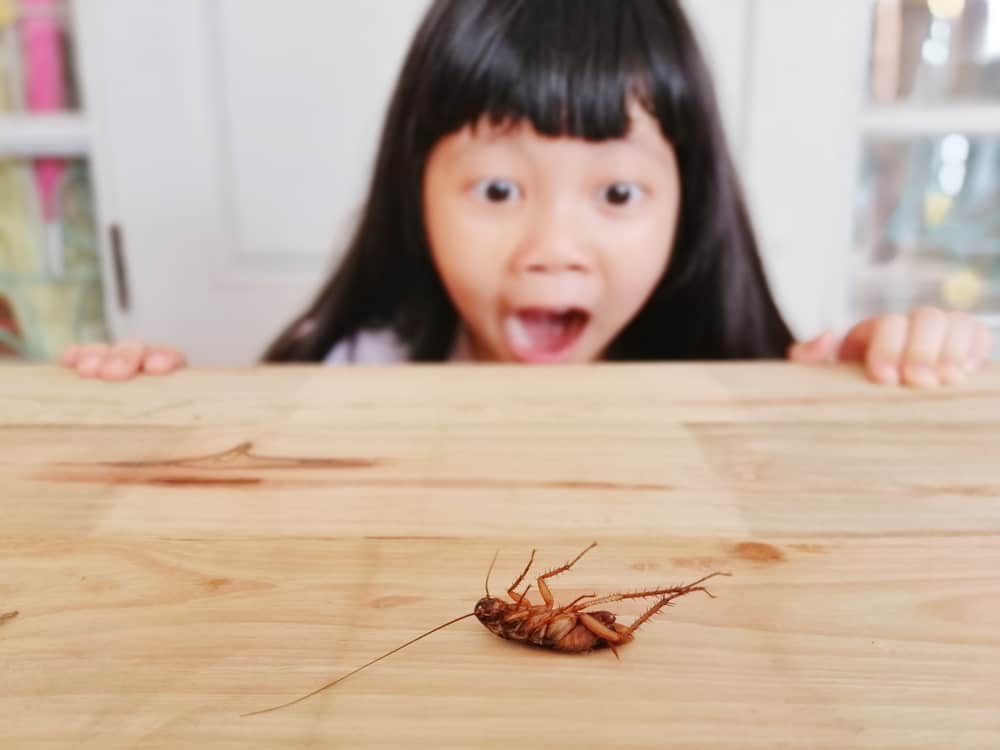 El día que mi hija se comió una cucaracha