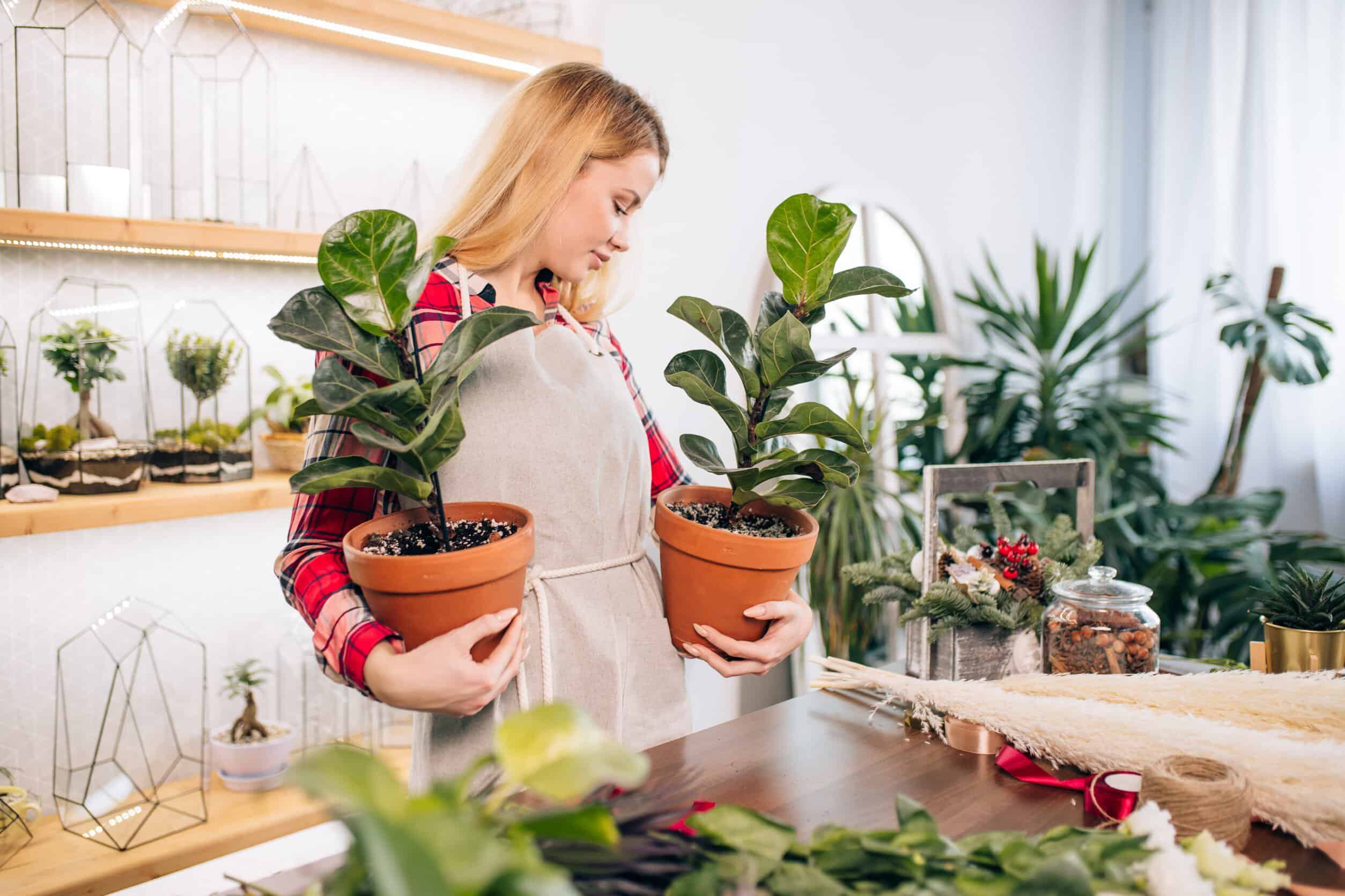 AliExpress: 5 productos estrella para que tus plantas sobrevivan durante tus vacaciones&nbsp;