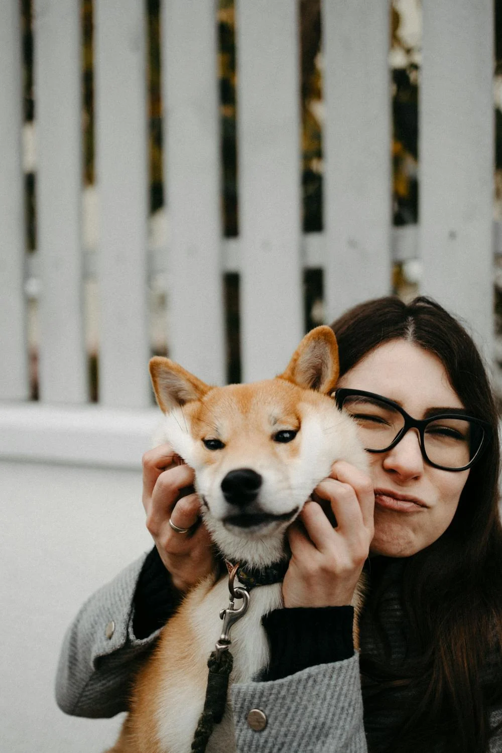 Mis ex echan m&aacute;s de menos a mi perro que a m&iacute;