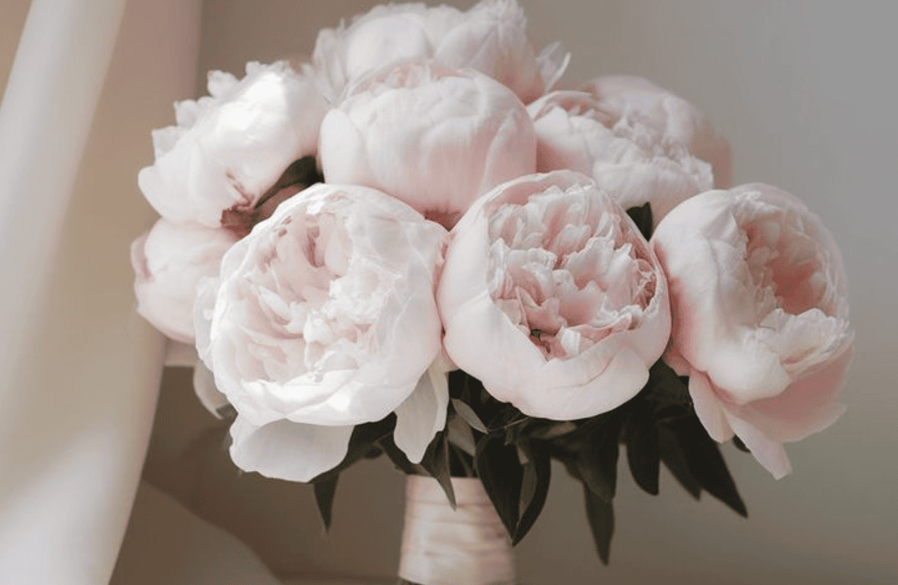 Qu&eacute; ramo eres t&uacute;? Elige flores seg&uacute;n tu personalidad y estado de &aacute;nimo