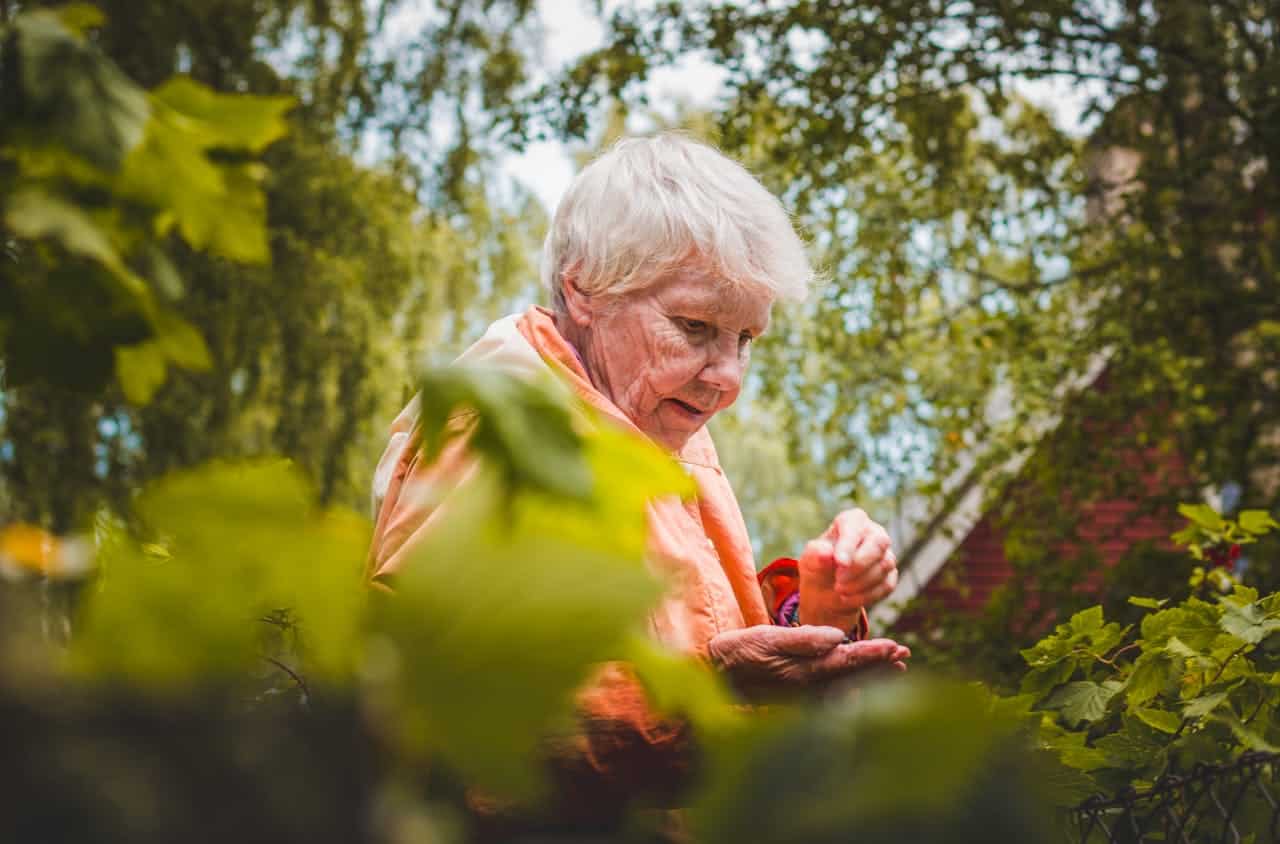 El mensaje que me ha hecho llegar mi abuela desde el m&aacute;s all&aacute;