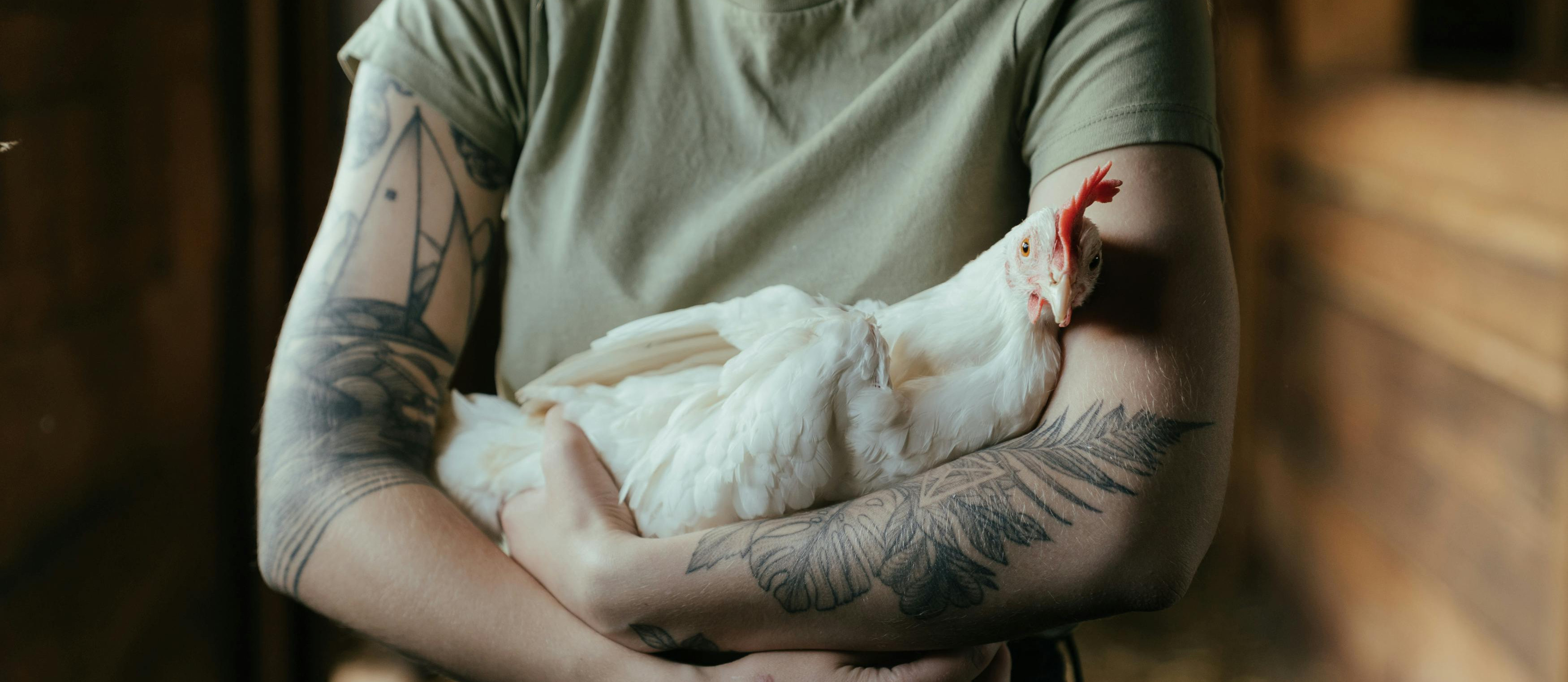 Mi suegra quiso ense&ntilde;arme a matar gallinas para que pudiera &laquo;cocinarle bien a su hijo&raquo;