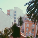 Foto del perfil de Mels