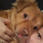 Foto del perfil de Silvi