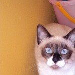 Foto del perfil de eMe