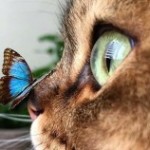 Foto del perfil de Laura