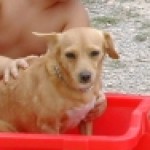 Foto del perfil de Isabel