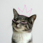 Foto del perfil de Brunelleschowl92