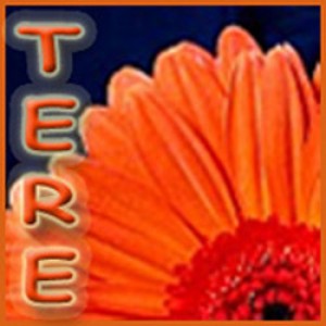 Foto del perfil de tere