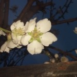 Foto del perfil de Lau
